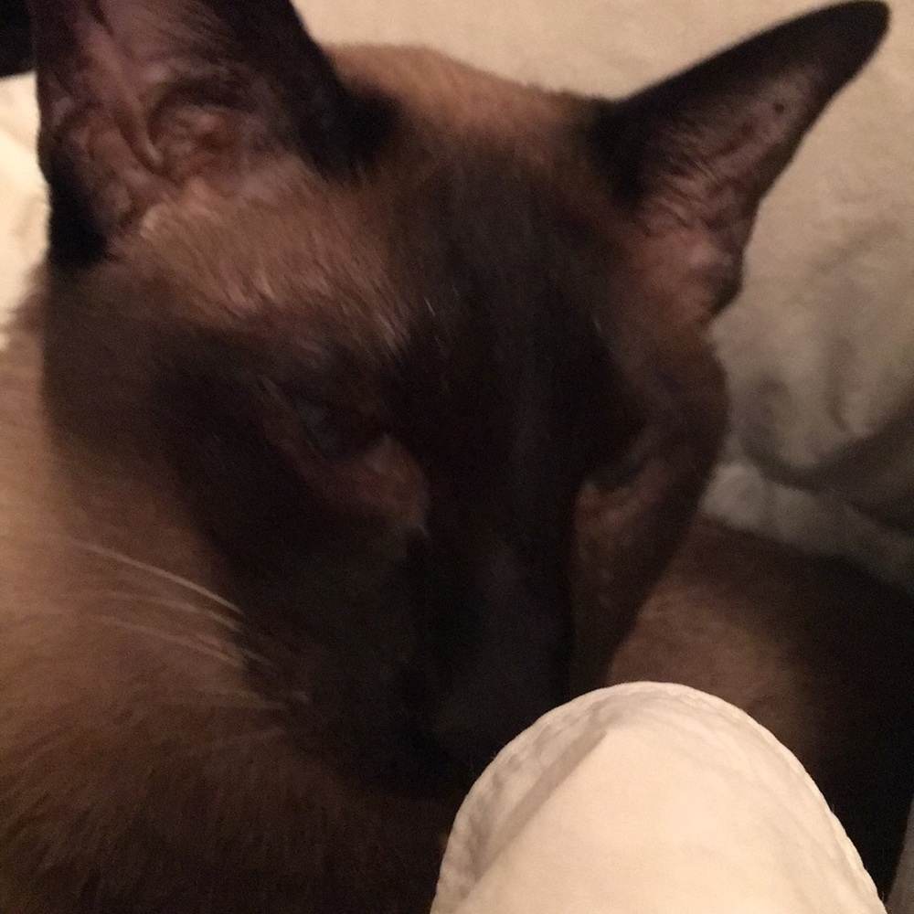 Meet your Posher, Mary ann